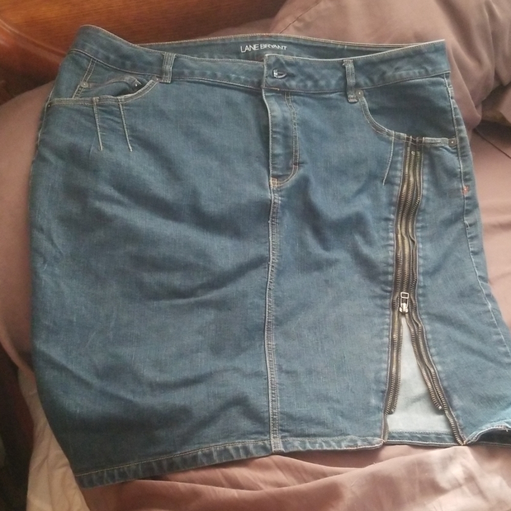 Lane Bryant skirt